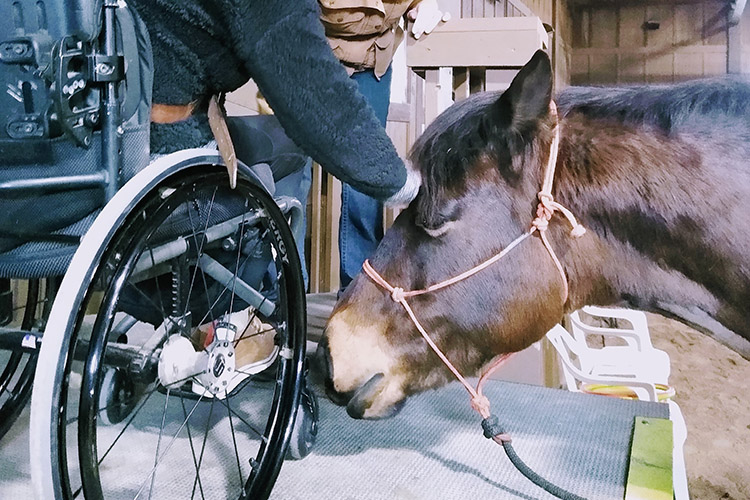 Two Bear Therapeutic Riding Center