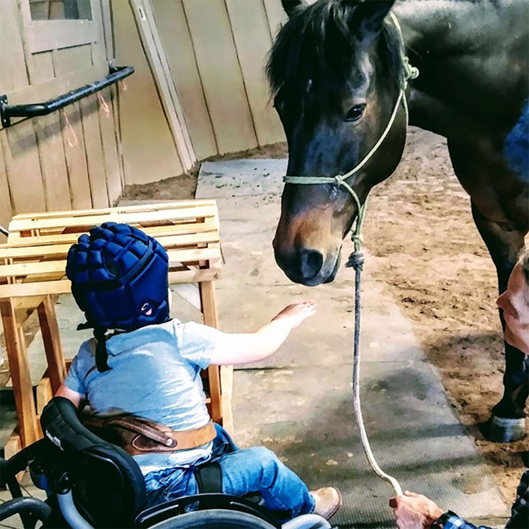 Two Bear Therapeutic Riding Center