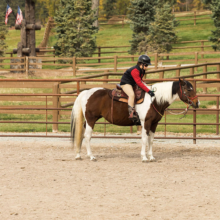 Two Bear Therapeutic Riding Center