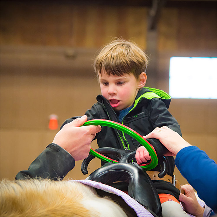 Two Bear Therapeutic Riding Center