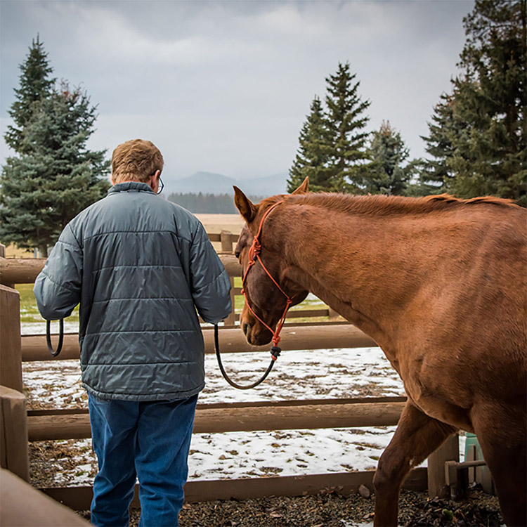 Two Bear Therapeutic Riding Center