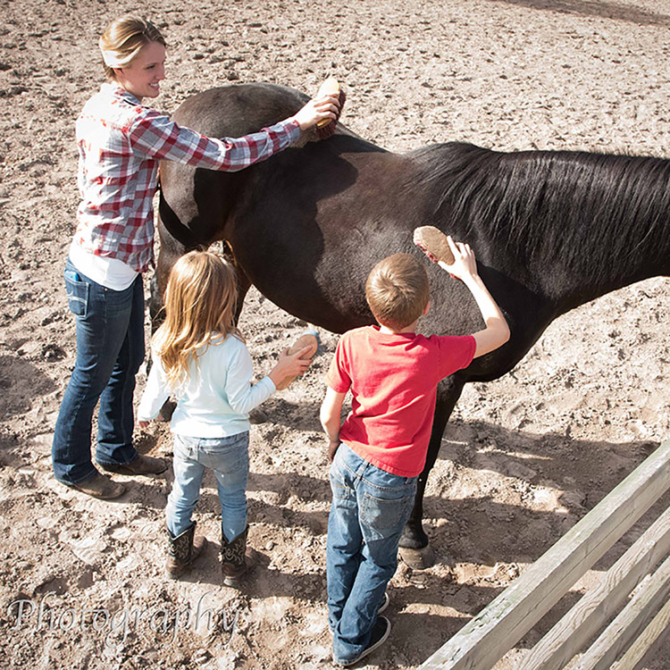 Two Bear Therapeutic Riding Center