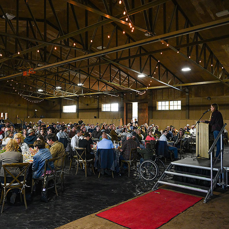 Two Bear Therapeutic Riding Center