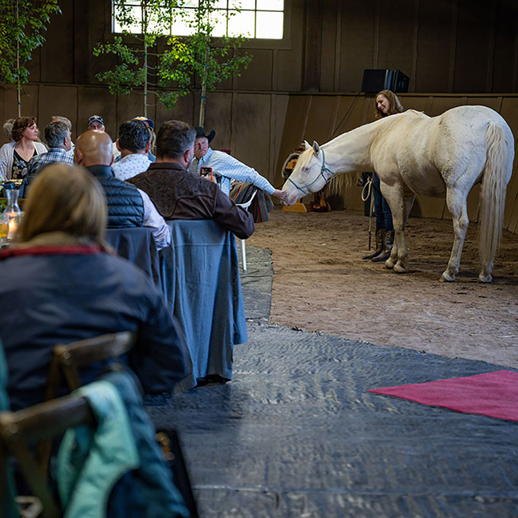 Two Bear Therapeutic Riding Center