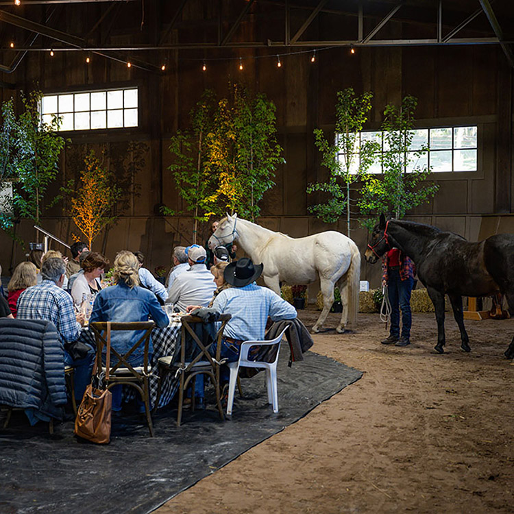 Two Bear Therapeutic Riding Center