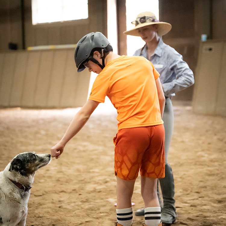 Two Bear Therapeutic Riding Center