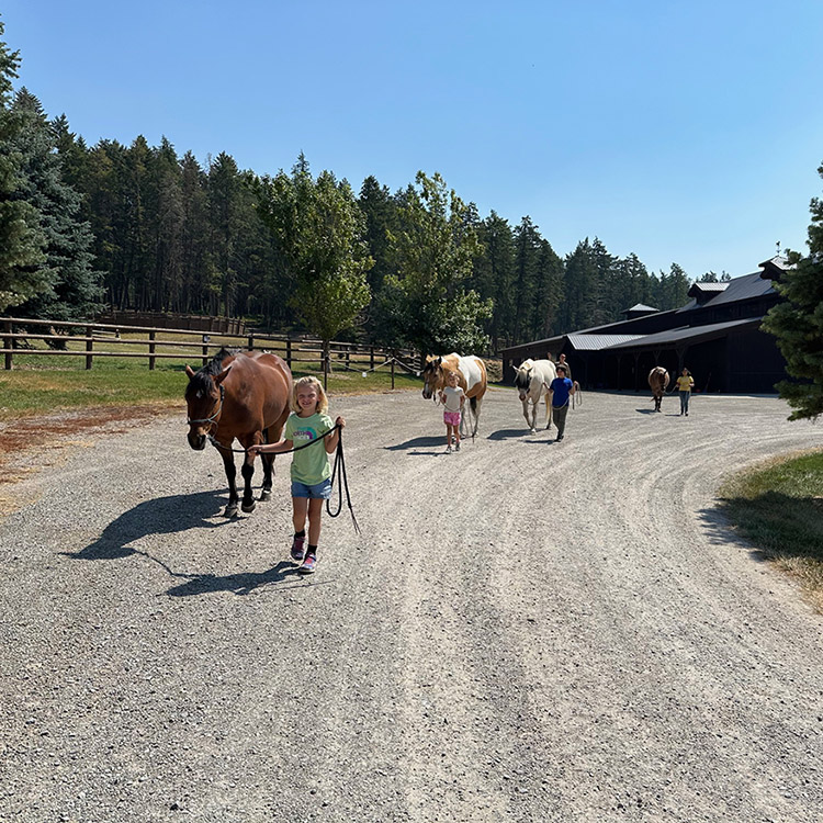 Two Bear Therapeutic Riding Center