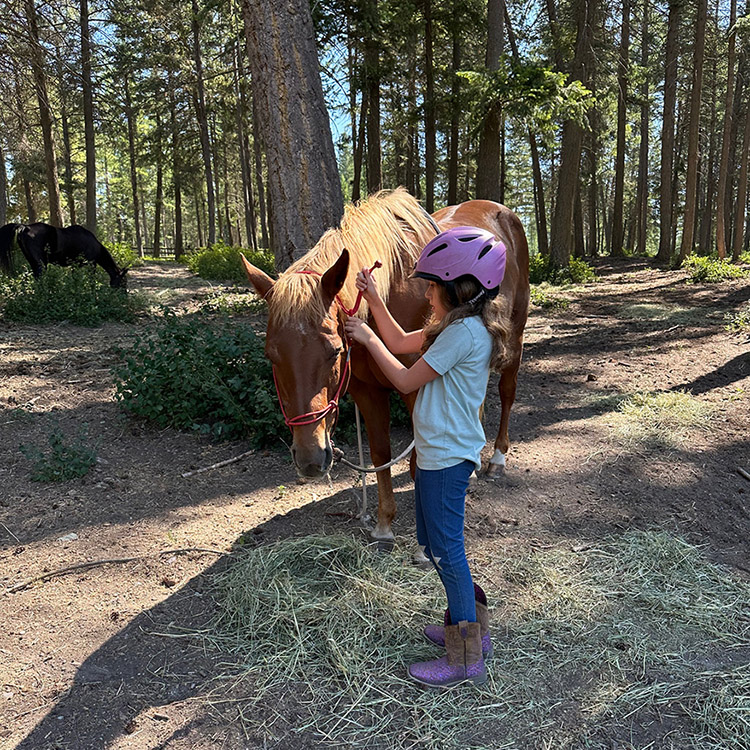 Two Bear Therapeutic Riding Center