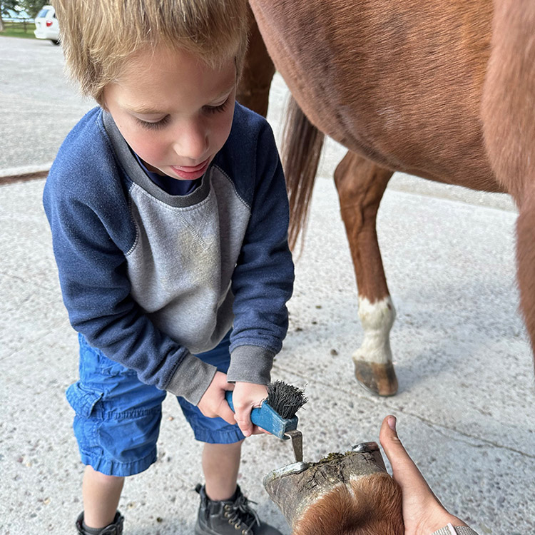 Two Bear Therapeutic Riding Center