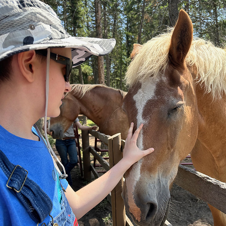 Two Bear Therapeutic Riding Center