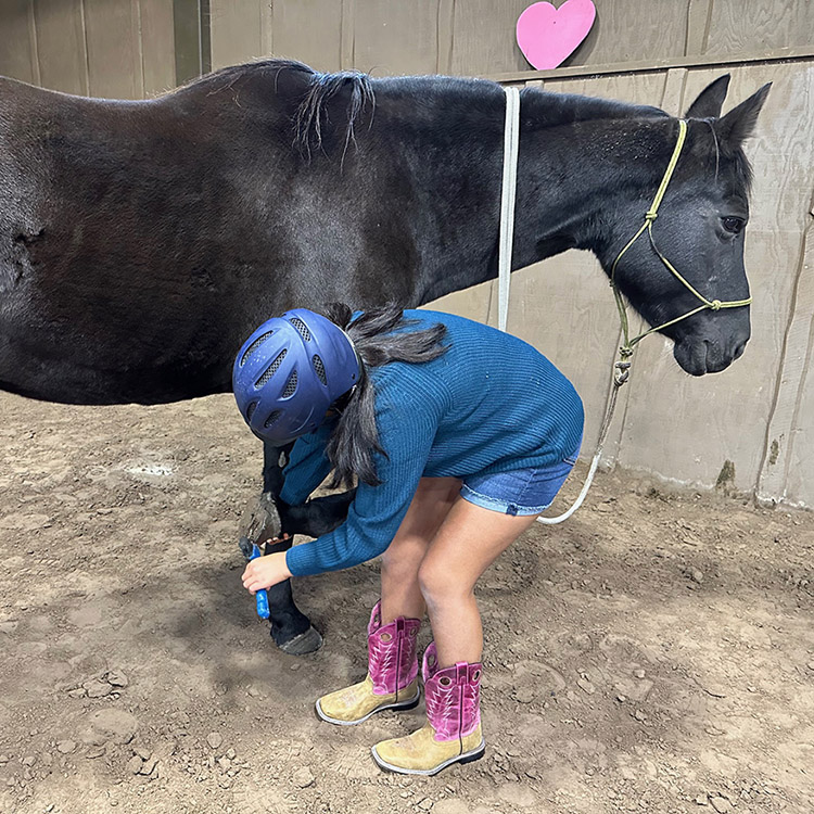 Two Bear Therapeutic Riding Center