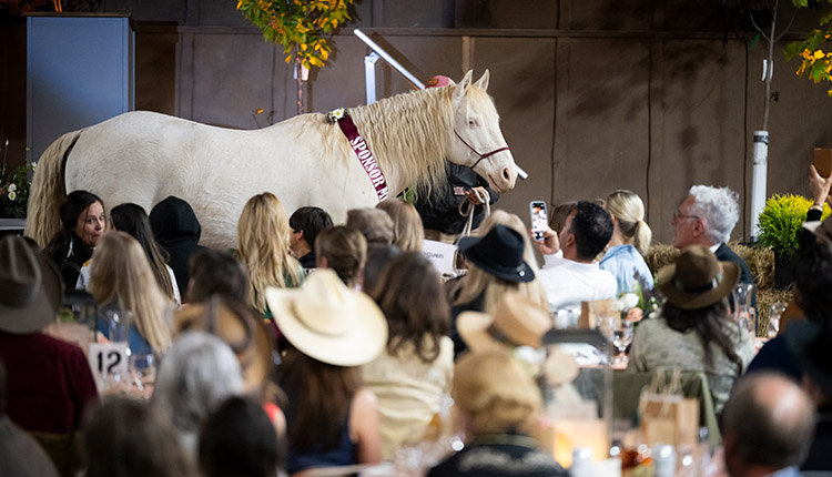 Campfire for a Cause