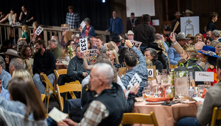 Campfire for a Cause