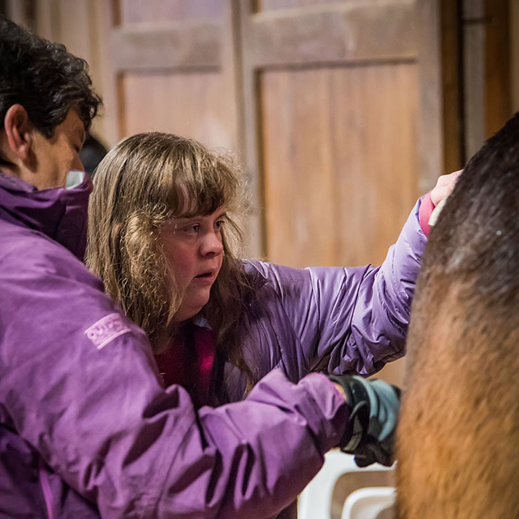 Two Bear Therapeutic Riding Center